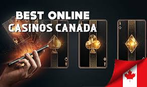 Discover the Best Online Casinos for Thrilling Gaming Experiences Discover the Best Online Casinos for Thrilling Gaming Experiences